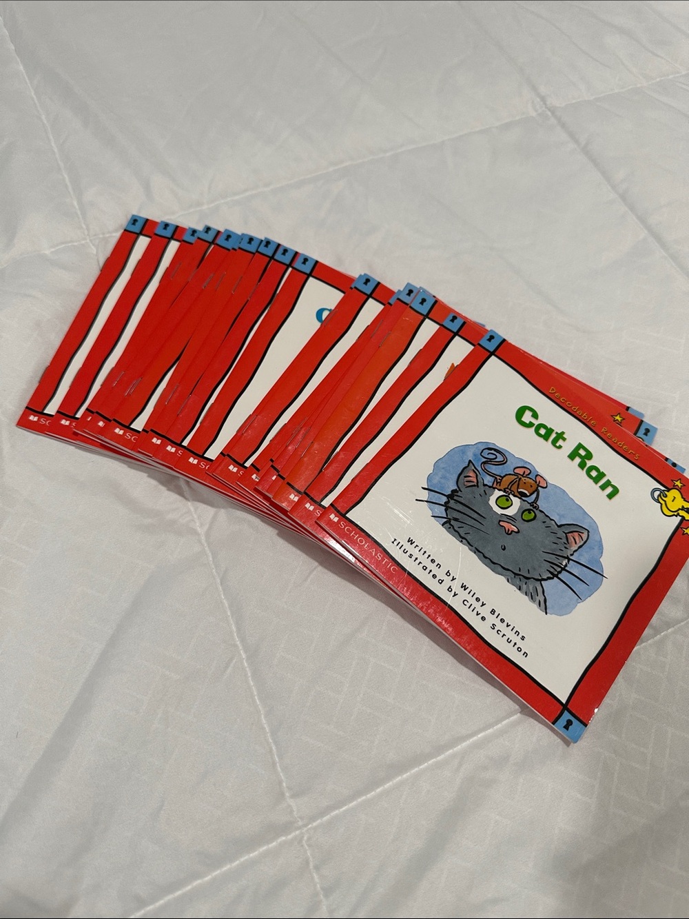 Scholastic Book set - total 21